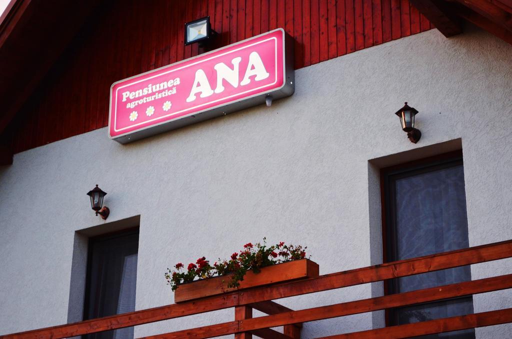 Pensiunea Ana Odoreu Exteriör bild
